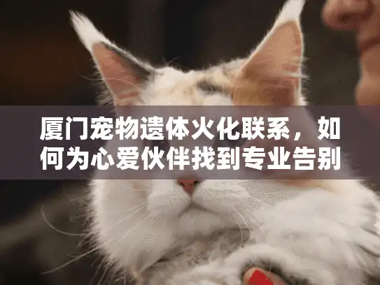 厦门宠物遗体火化联系，如何为心爱伙伴找到专业告别服务？