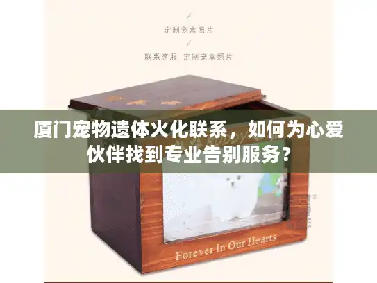 厦门宠物遗体火化联系，如何为心爱伙伴找到专业告别服务？