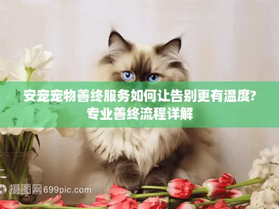安宠宠物善终服务如何让告别更有温度?专业善终流程详解 安宠宠物善终服务如何让告别更有温度?专业善终流程详解
