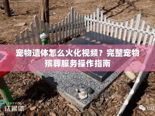 宠物遗体怎么火化视频？完整宠物殡葬服务操作指南