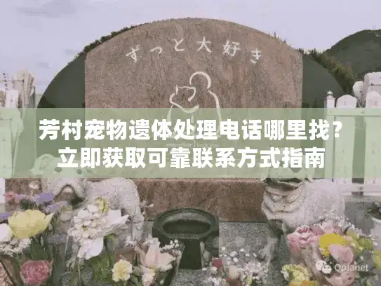 芳村宠物遗体处理电话哪里找？立即获取可靠联系方式指南