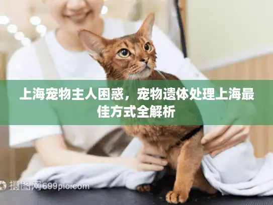 上海宠物主人困惑，宠物遗体处理上海最佳方式全解析