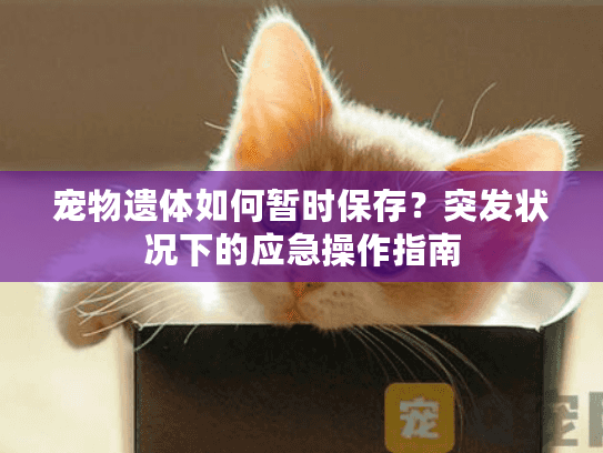 宠物遗体如何暂时保存?突发状况下的应急操作指南 宠物遗体如何暂时保存?突发状况下的应急操作指南
