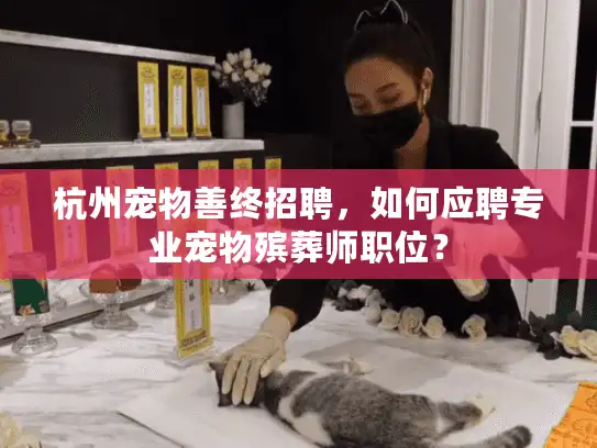 杭州宠物善终招聘，如何应聘专业宠物殡葬师职位？