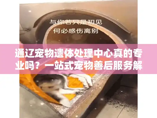通辽宠物遗体处理中心真的专业吗?一站式宠物善后服务解析 通辽宠物遗体处理中心真的专业吗?一站式宠物善后服务解析
