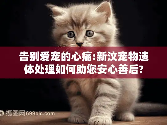 告别爱宠的心痛:新汶宠物遗体处理如何助您安心善后?