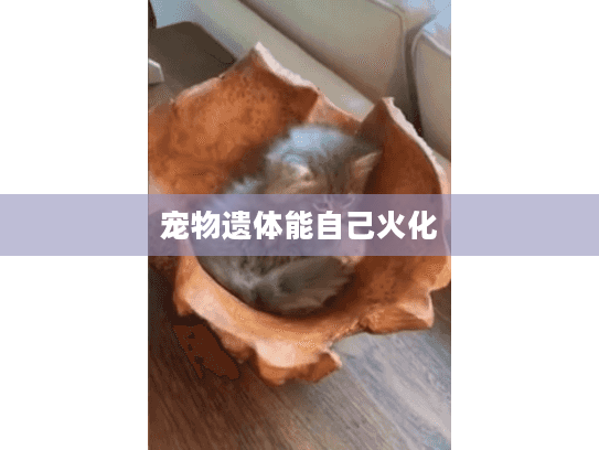 宠物遗体能自己火化