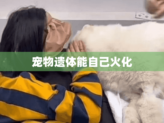 宠物遗体能自己火化