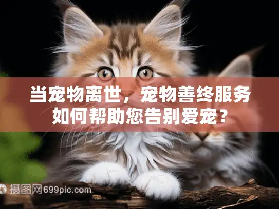 当宠物离世，宠物善终服务如何帮助您告别爱宠？