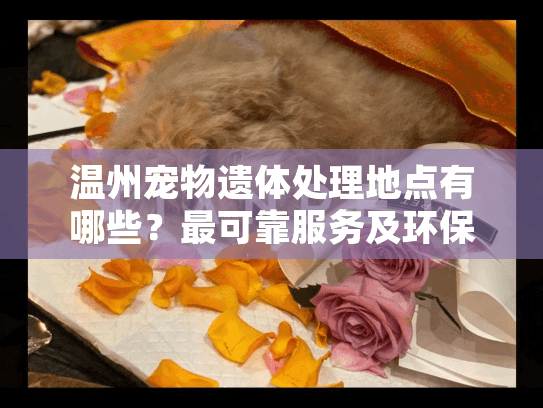 温州宠物遗体处理地点有哪些?最可靠服务及环保方案推荐 温州宠物遗体处理地点有哪些?最可靠服务及环保方案推荐