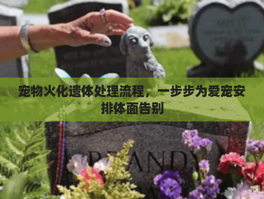 宠物火化遗体处理流程,一步步为爱宠安排体面告别 宠物火化遗体处理流程,一步步为爱宠安排体面告别