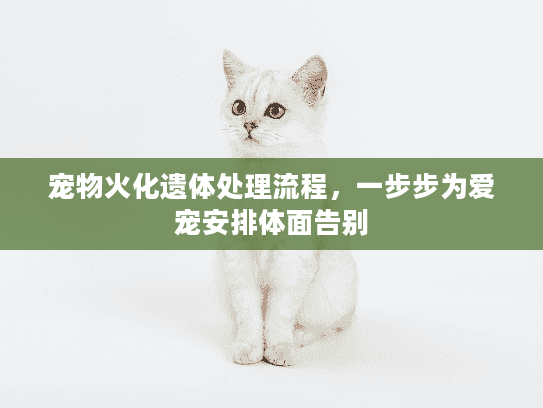 宠物火化遗体处理流程,一步步为爱宠安排体面告别 宠物火化遗体处理流程,一步步为爱宠安排体面告别