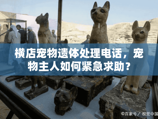 横店宠物遗体处理电话，宠物主人如何紧急求助？