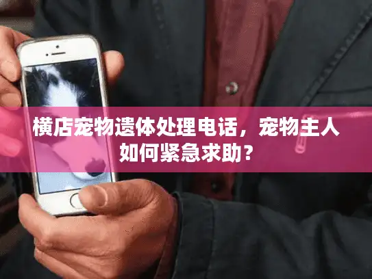 横店宠物遗体处理电话，宠物主人如何紧急求助？