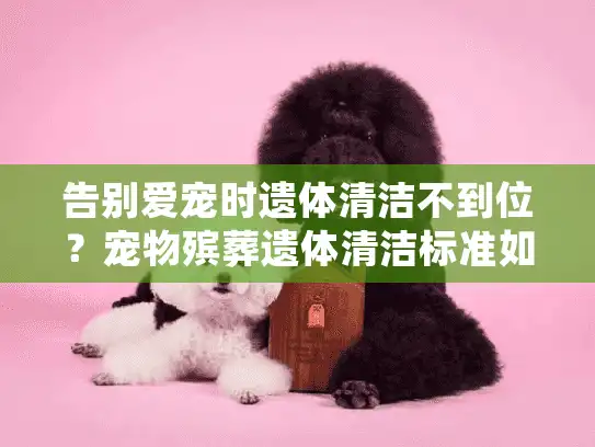 告别爱宠时遗体清洁不到位？宠物殡葬遗体清洁标准如何确保尊严告别