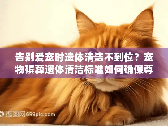 告别爱宠时遗体清洁不到位？宠物殡葬遗体清洁标准如何确保尊严告别