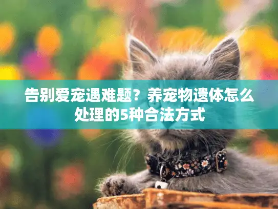 告别爱宠遇难题？养宠物遗体怎么处理的5种合法方式