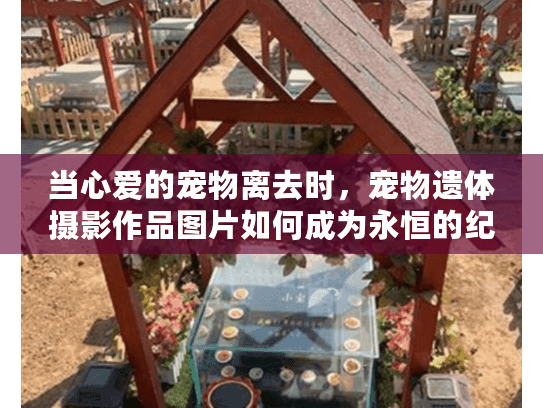当心爱的宠物离去时，宠物遗体摄影作品图片如何成为永恒的纪念？