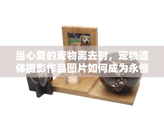 当心爱的宠物离去时，宠物遗体摄影作品图片如何成为永恒的纪念？