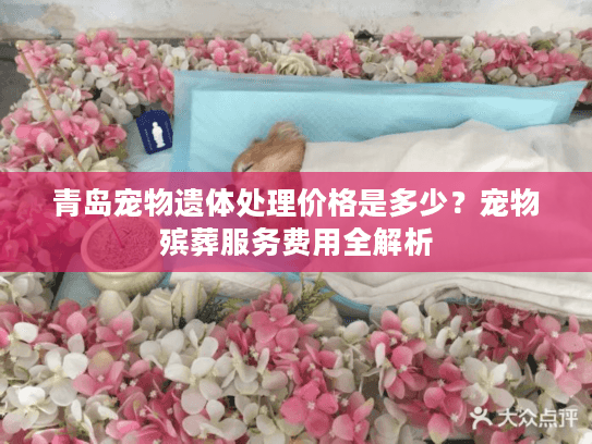青岛宠物遗体处理价格是多少？宠物殡葬服务费用全解析