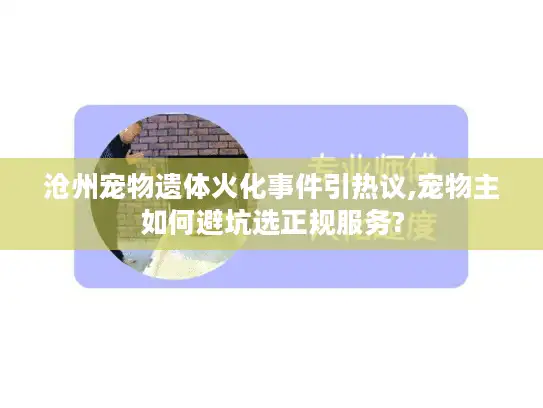 沧州宠物遗体火化事件引热议,宠物主如何避坑选正规服务? 沧州宠物遗体火化事件引热议,宠物主如何避坑选正规服务?