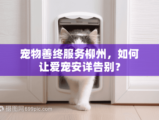 宠物善终服务柳州，如何让爱宠安详告别？