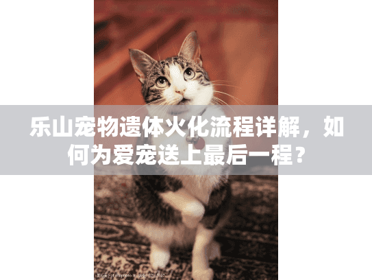 乐山宠物遗体火化流程详解,如何为爱宠送上最后一程? 乐山宠物遗体火化流程详解,如何为爱宠送上最后一程?