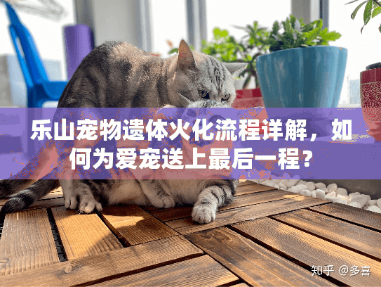 乐山宠物遗体火化流程详解,如何为爱宠送上最后一程? 乐山宠物遗体火化流程详解,如何为爱宠送上最后一程?