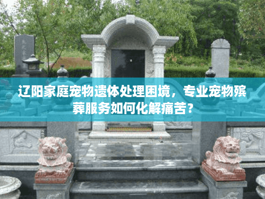 辽阳家庭宠物遗体处理困境，专业宠物殡葬服务如何化解痛苦？