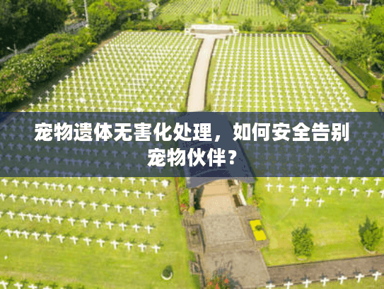 宠物遗体无害化处理，如何安全告别宠物伙伴？