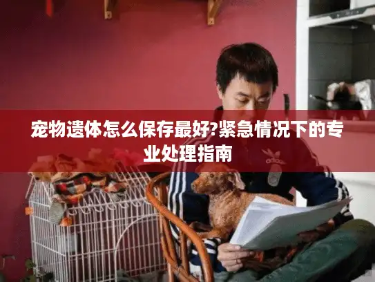 宠物遗体怎么保存最好?紧急情况下的专业处理指南