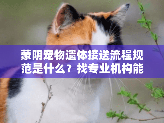 蒙阴宠物遗体接送流程规范是什么?找专业机构能避免这些遗憾 蒙阴宠物遗体接送流程规范是什么?找专业机构能避免这些遗憾