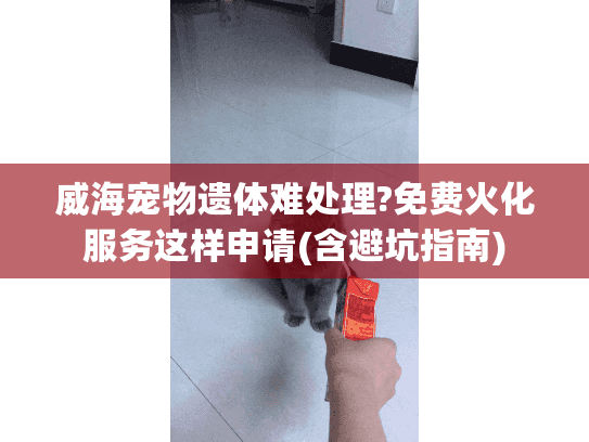 威海宠物遗体难处理?免费火化服务这样申请(含避坑指南) 威海宠物遗体难处理?免费火化服务这样申请(含避坑指南)
