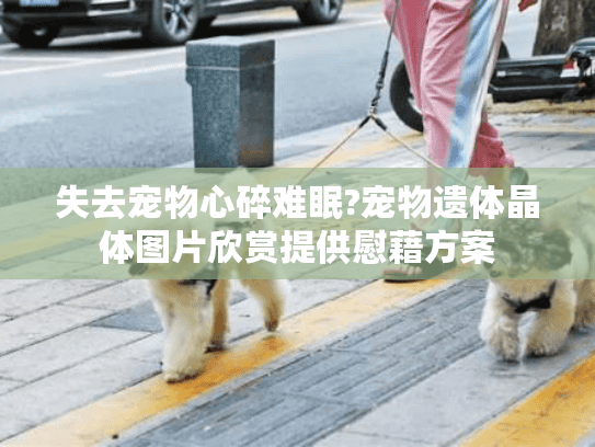 失去宠物心碎难眠?宠物遗体晶体图片欣赏提供慰藉方案