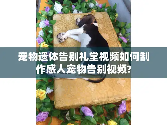 宠物遗体告别礼堂视频如何制作感人宠物告别视频?