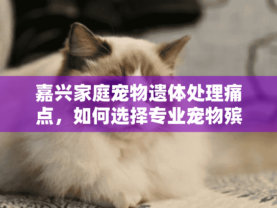 嘉兴家庭宠物遗体处理痛点，如何选择专业宠物殡葬服务？