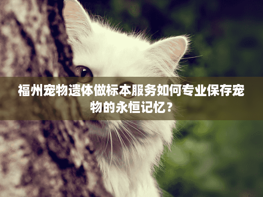 福州宠物遗体做标本服务如何专业保存宠物的永恒记忆？