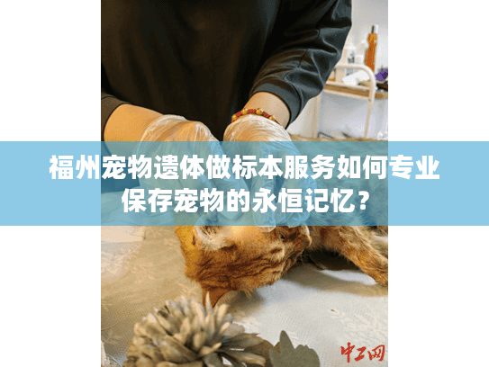 福州宠物遗体做标本服务如何专业保存宠物的永恒记忆？