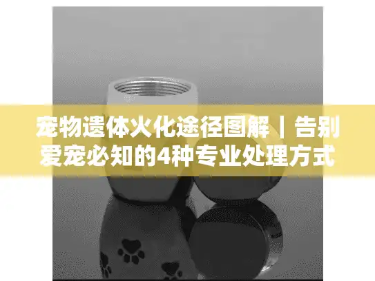 宠物遗体火化途径图解｜告别爱宠必知的4种专业处理方式及费用明细