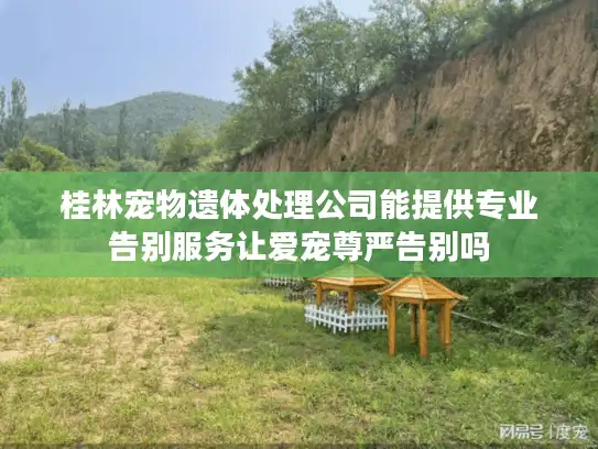 桂林宠物遗体处理公司能提供专业告别服务让爱宠尊严告别吗 桂林宠物遗体处理公司能提供专业告别服务让爱宠尊严告别吗