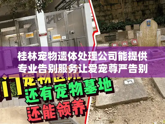桂林宠物遗体处理公司能提供专业告别服务让爱宠尊严告别吗 桂林宠物遗体处理公司能提供专业告别服务让爱宠尊严告别吗