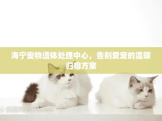 海宁宠物遗体处理中心，告别爱宠的温暖归宿方案