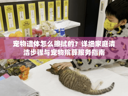 宠物遗体怎么擦拭的？详细家庭清洁步骤与宠物殡葬服务指南