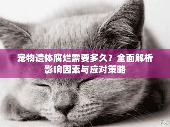宠物遗体腐烂需要多久?全面解析影响因素与应对策略 宠物遗体腐烂需要多久?全面解析影响因素与应对策略