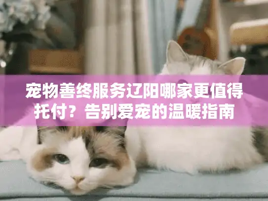 宠物善终服务辽阳哪家更值得托付？告别爱宠的温暖指南
