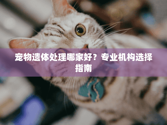 宠物遗体处理哪家好？专业机构选择指南