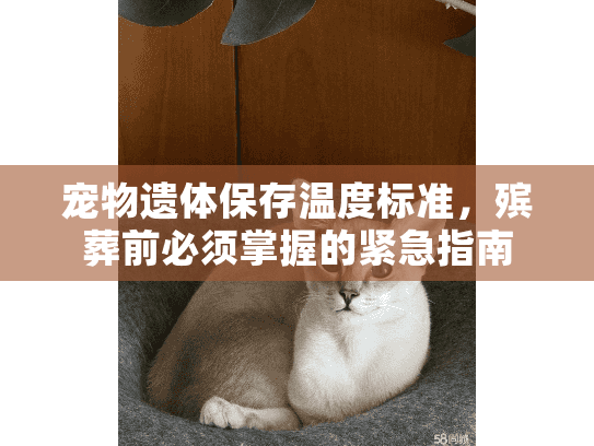 宠物遗体保存温度标准，殡葬前必须掌握的紧急指南