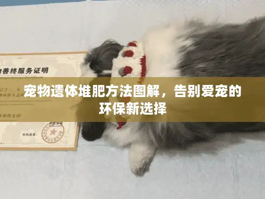 宠物遗体堆肥方法图解,告别爱宠的环保新选择 宠物遗体堆肥方法图解,告别爱宠的环保新选择