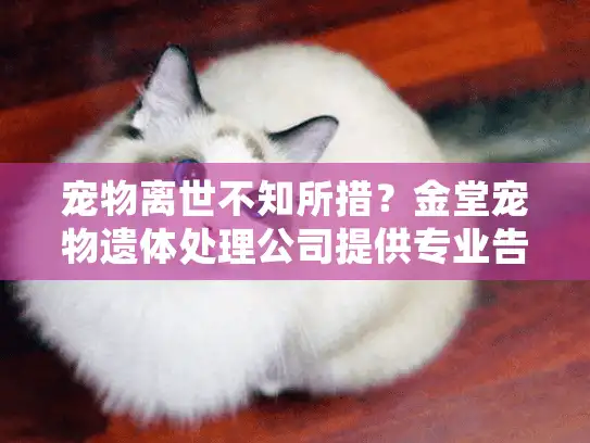 宠物离世不知所措？金堂宠物遗体处理公司提供专业告别服务