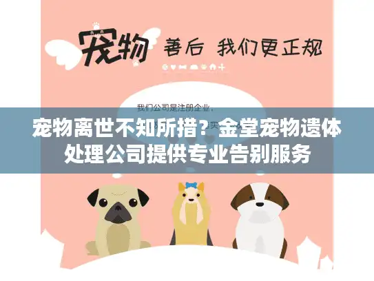 宠物离世不知所措？金堂宠物遗体处理公司提供专业告别服务